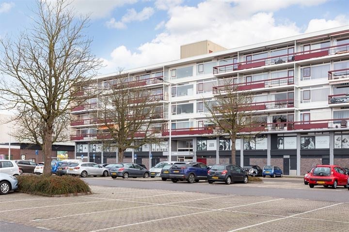 Kamer aan de Hanzestraat in Arnhem (6826 MR)