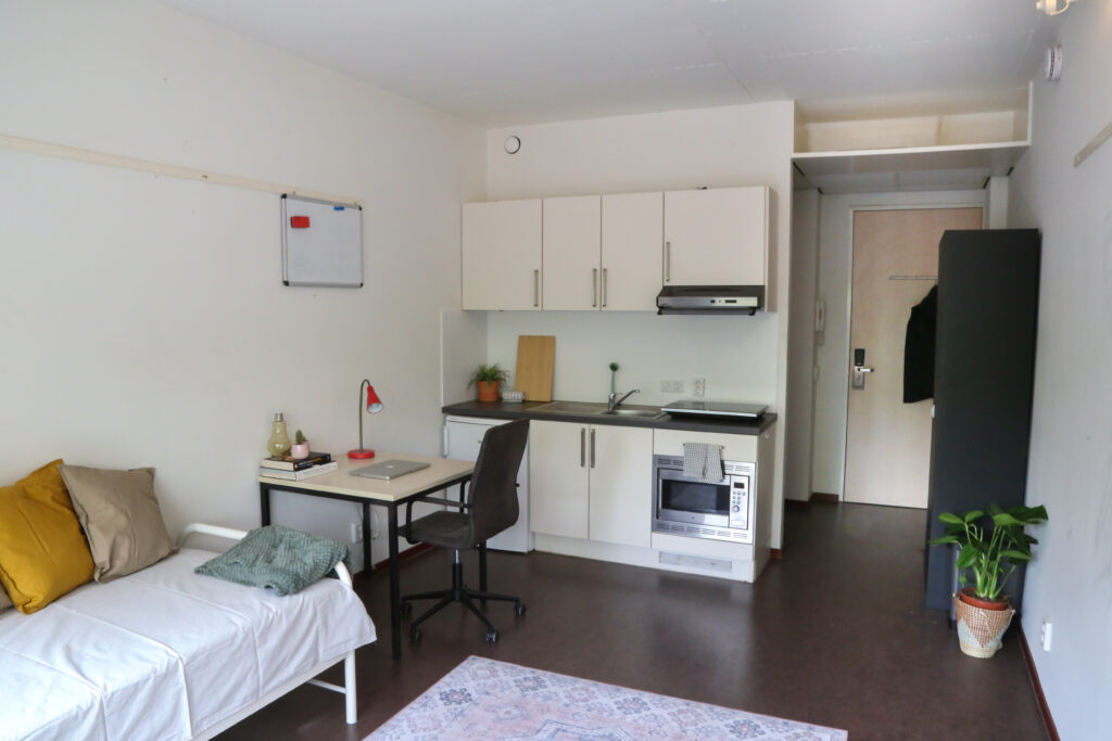 Studio in Eindhoven (HUU-807183)