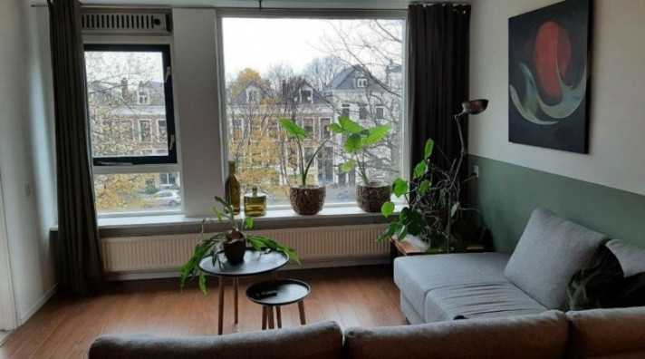 Appartement aan de Noordsingel in Rotterdam