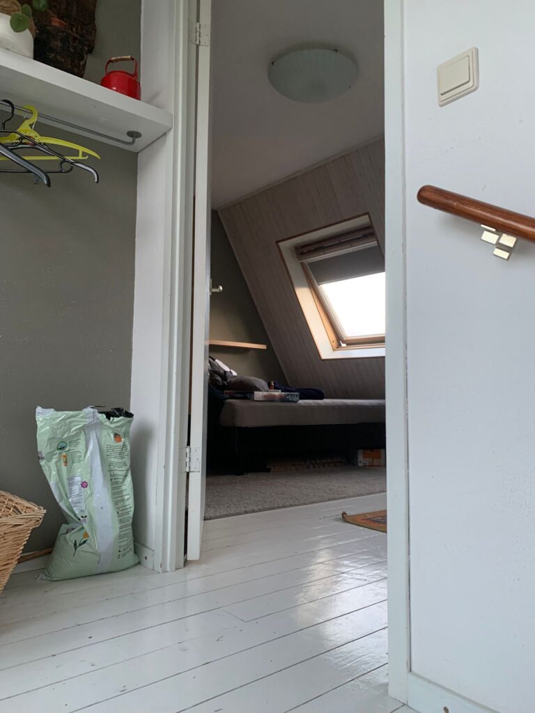 Kamer aan de Sandinoweg in Delft