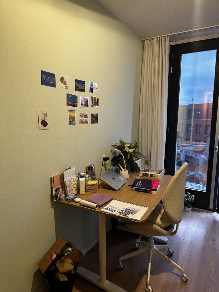 Kamer aan de Hobbemastraat in Den Haag