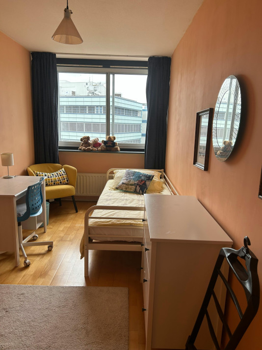 Kamer aan de Gedempte Zalmhaven in Rotterdam (3011 BT)