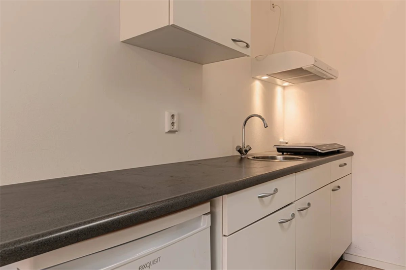 Studio aan de Olieslagerspoort, 2312VX, Leiden in Leiden