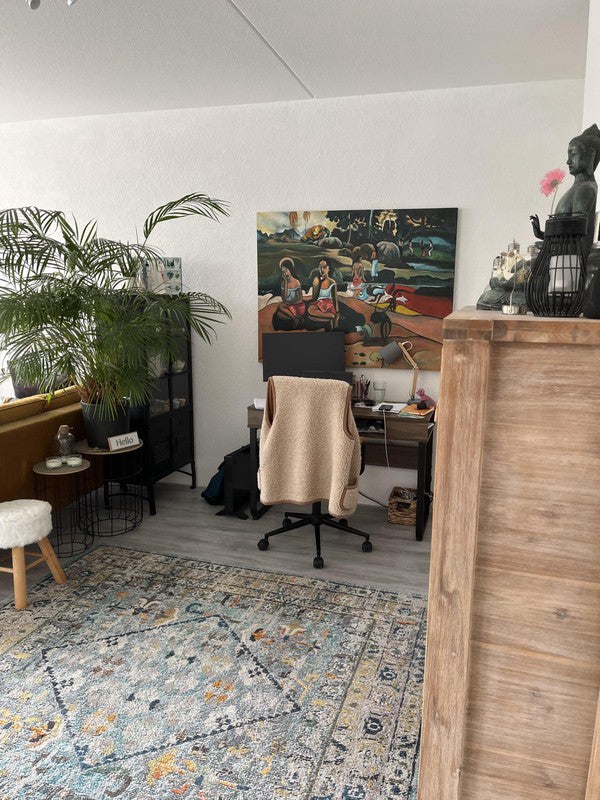 Appartement aan de Zakedijkje in Bergen (NH)