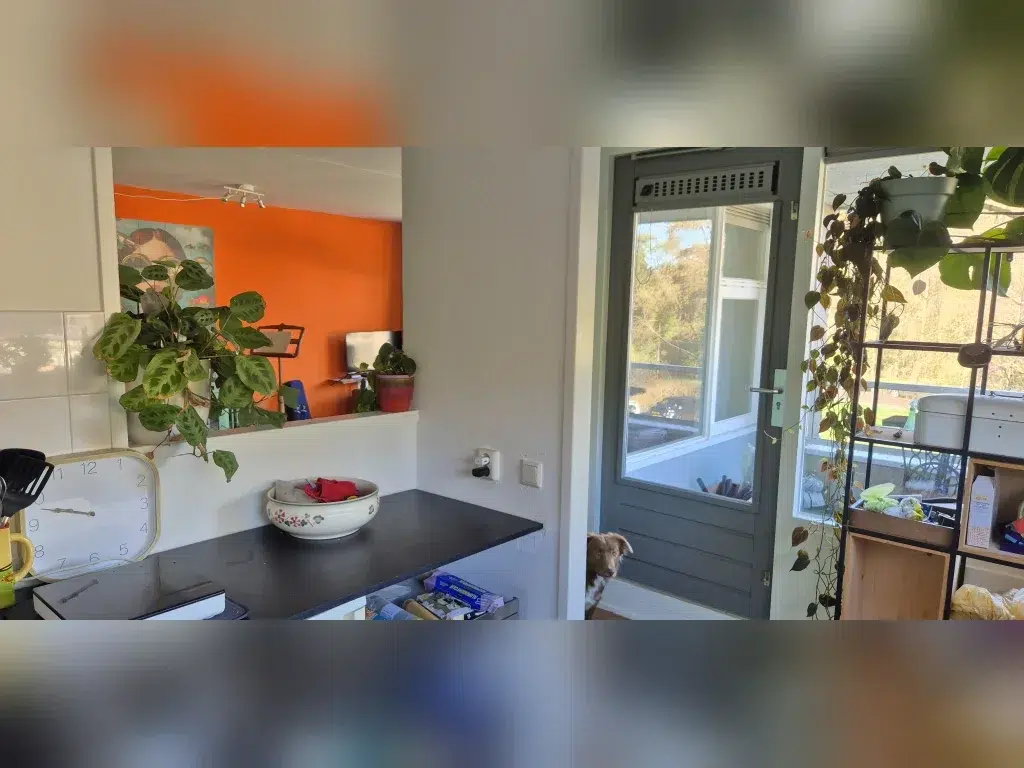 Appartement aan de Mendelssohnlaan in Arnhem